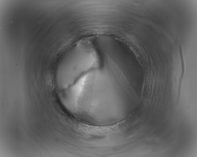 X0000062790031200601051057