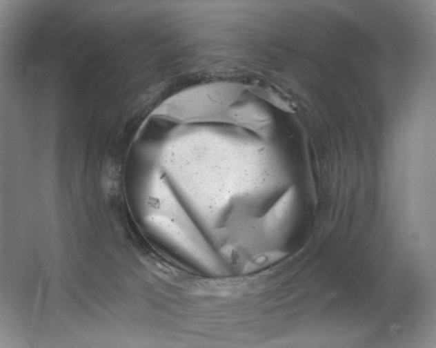 X0000062790033200601051057