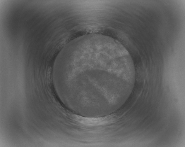 X0000062790034200601051057