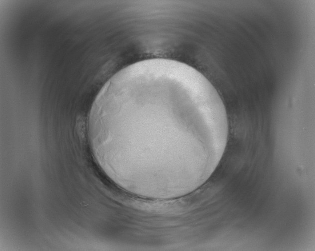 X0000062790036200601051057