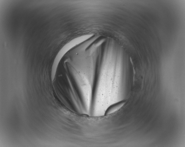 X0000062790037200601051057