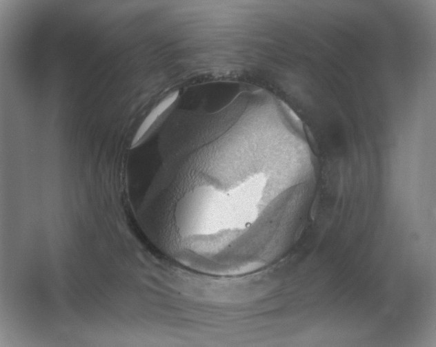 X0000062790039200601051057