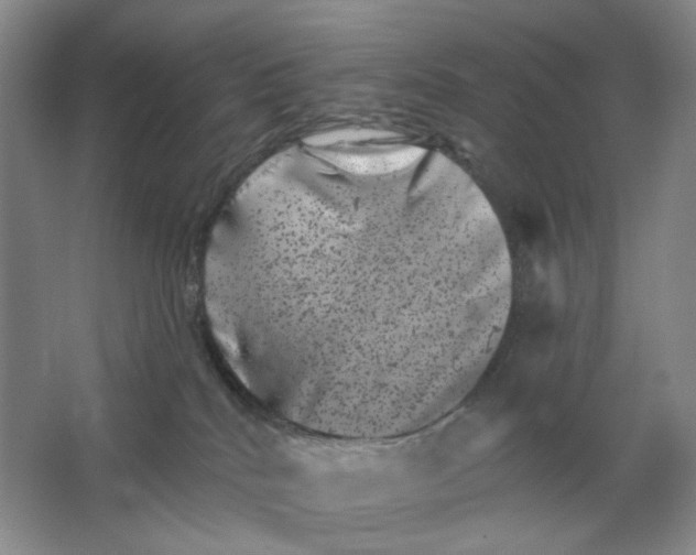 X0000062790040200601051057