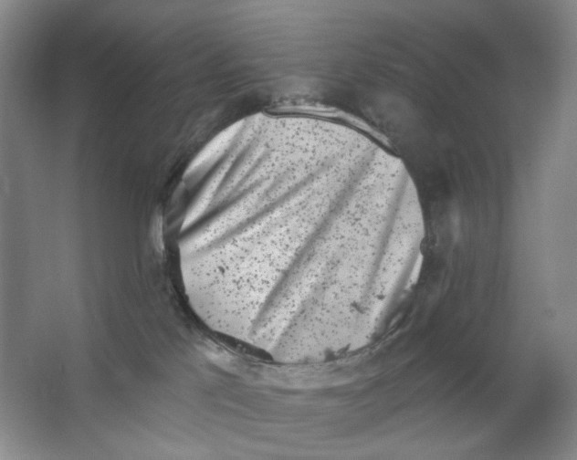 X0000062790041200601051057