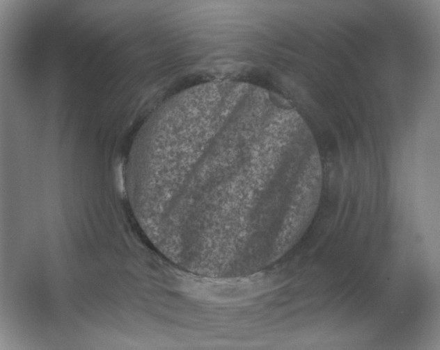 X0000062790042200601051057