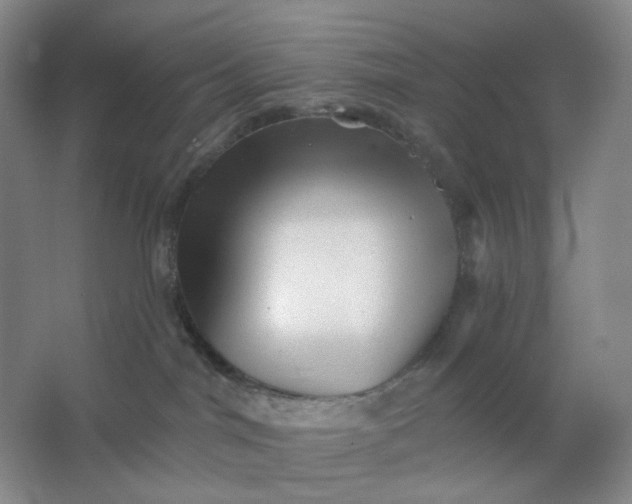 X0000062790044200601051057