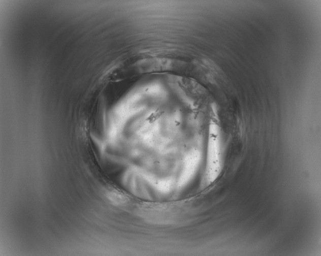 X0000062790045200601051057