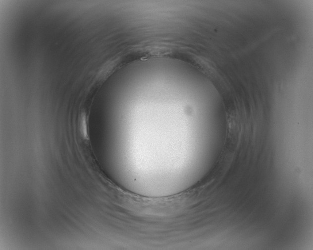 X0000062790046200601051057