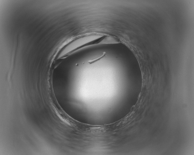 X0000062790050200601051056