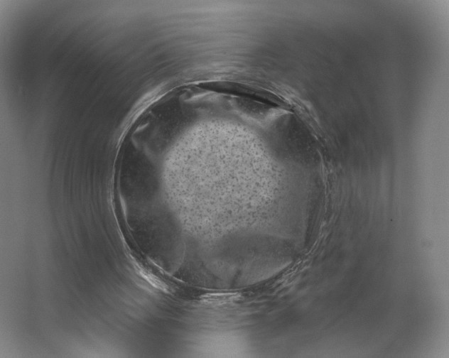 X0000062790051200601051056