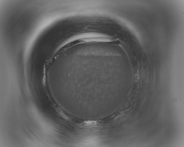 X0000062790052200601051056