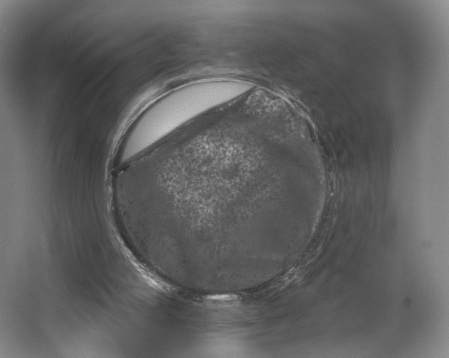 X0000062790053200601051056
