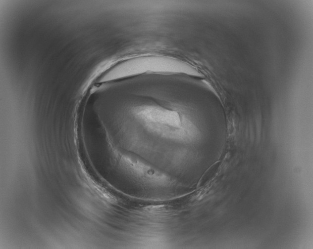 X0000062790054200601051056