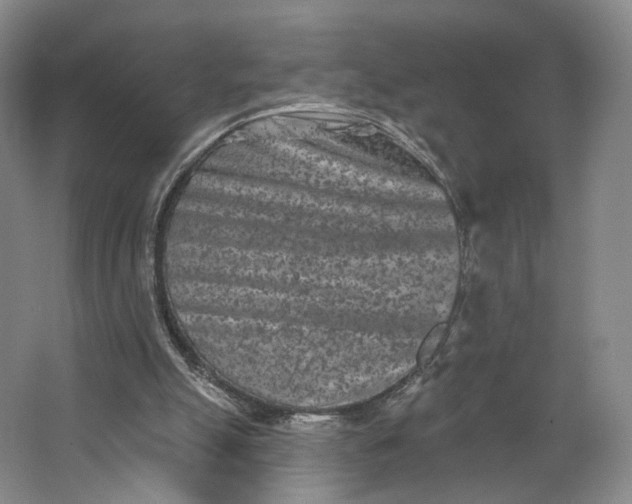 X0000062790055200601051056