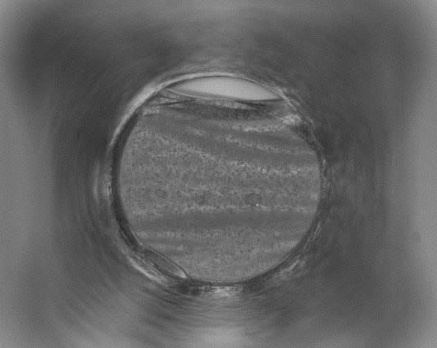 X0000062790056200601051056