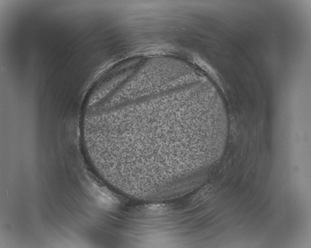 X0000062790059200601051056