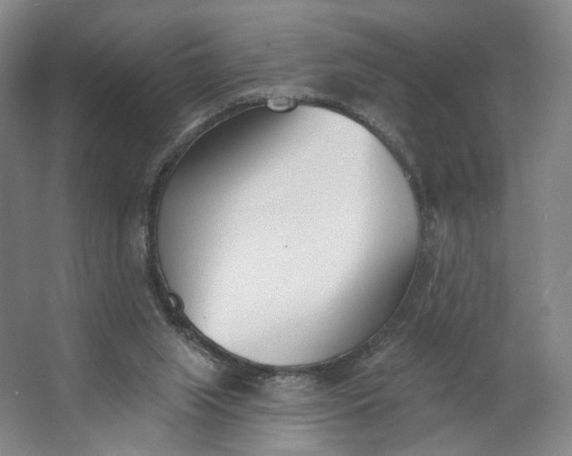 X0000062790063200601051056