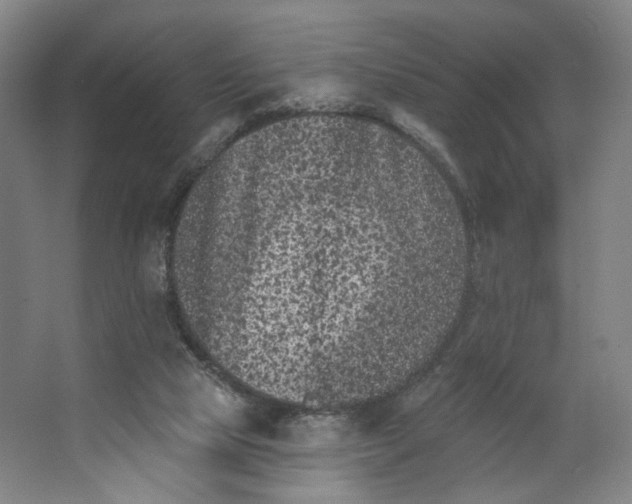 X0000062790065200601051056