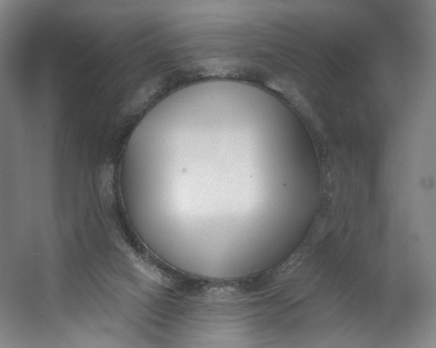 X0000062790066200601051056