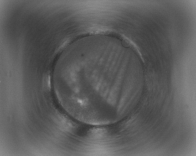 X0000062790067200601051056