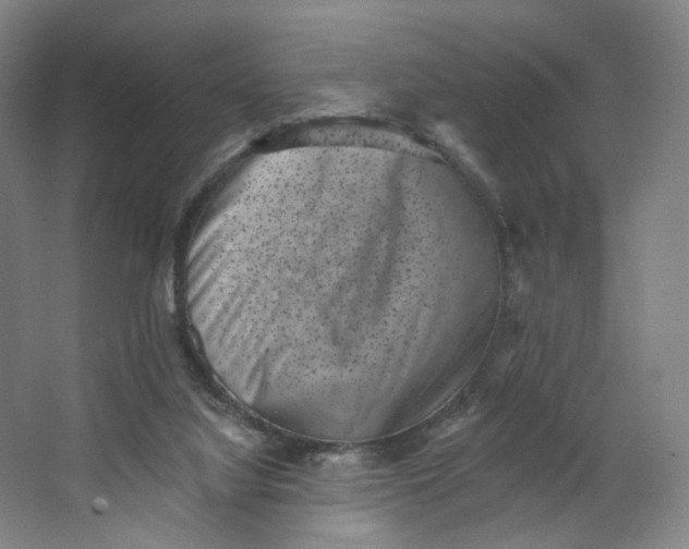 X0000062790068200601051056