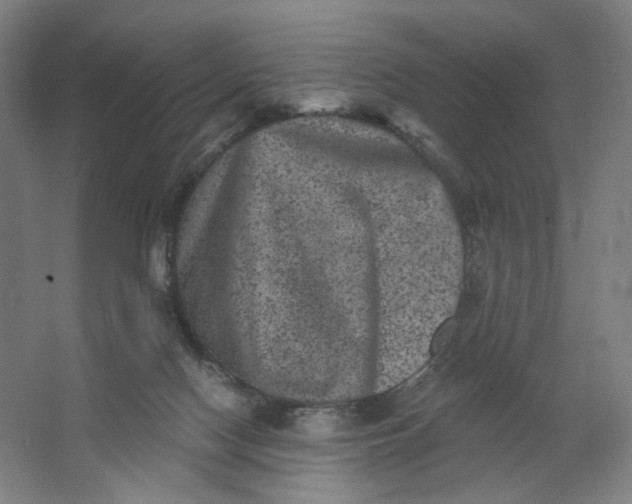 X0000062790074200601051056