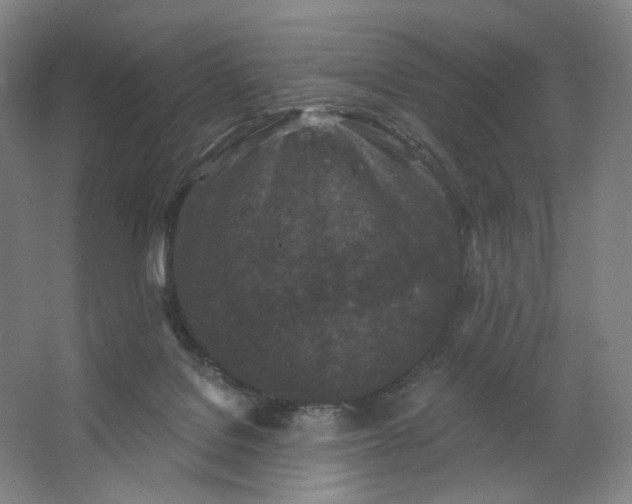 X0000062790076200601051056