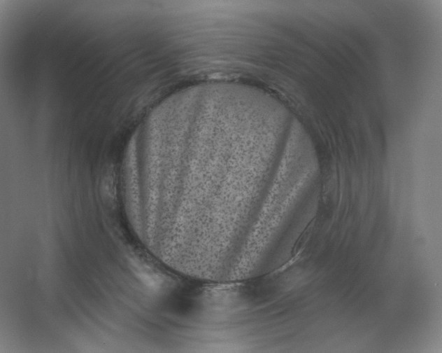 X0000062790078200601051056