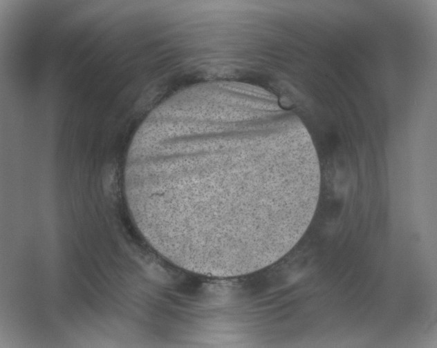 X0000062790079200601051057