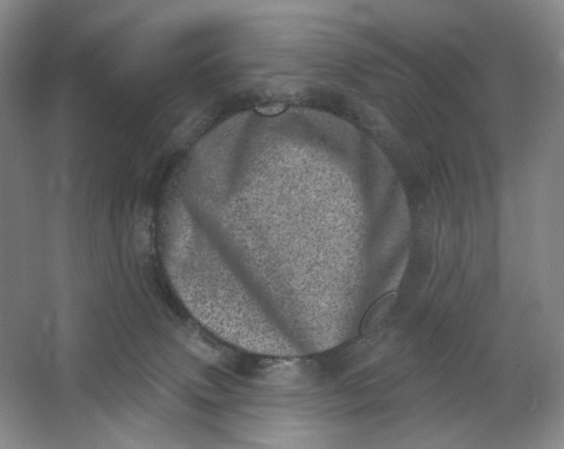 X0000062790083200601051057