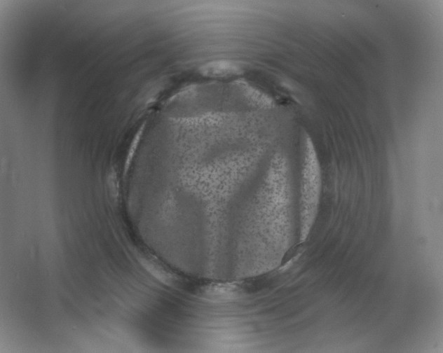 X0000062790086200601051057