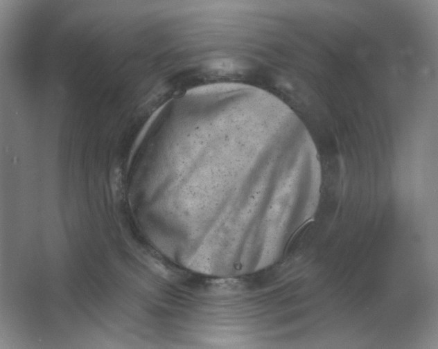 X0000062790087200601051057