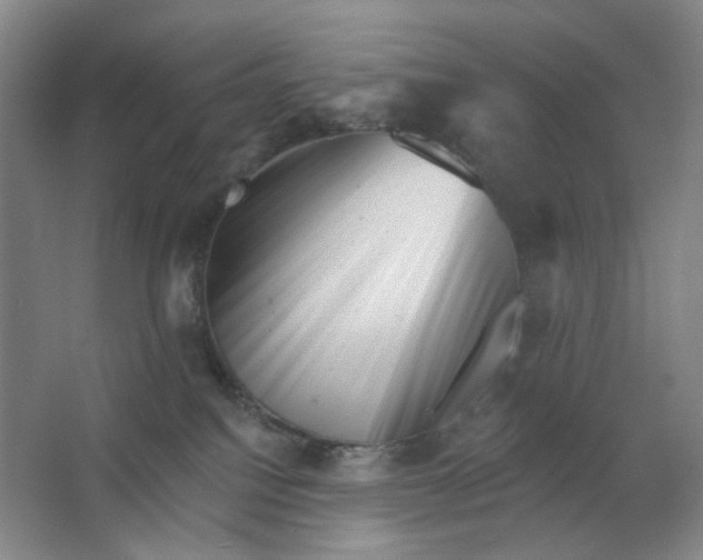 X0000062790088200601051057
