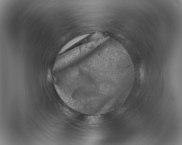 X0000062790089200601051057