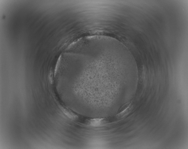 X0000062790090200601051057