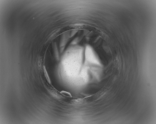 X0000062790092200601051057