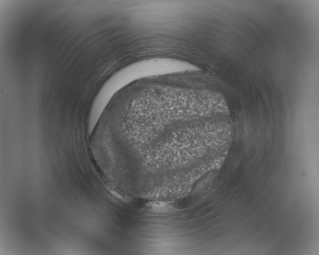 X0000062790093200601051057
