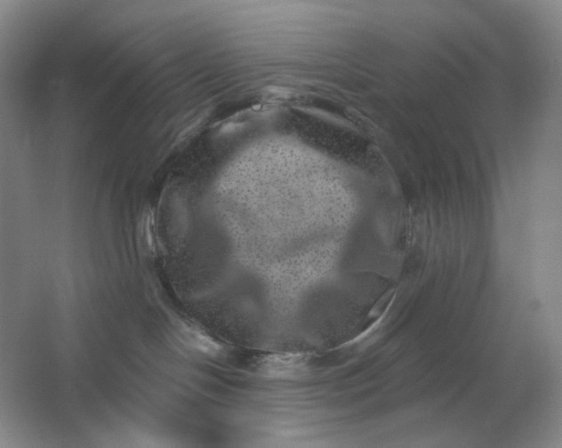 X0000062790094200601051057