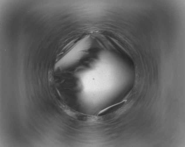 X0000062790096200601051057