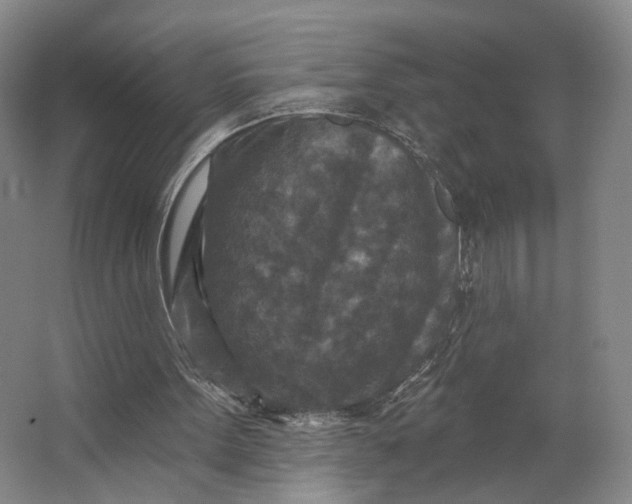 X0000062790099200601051056