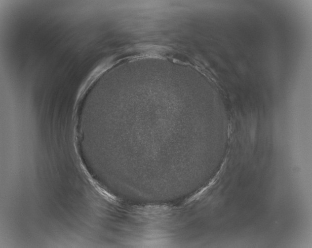 X0000062790101200601051056