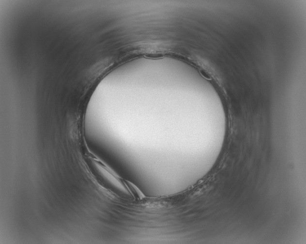 X0000062790105200601051056