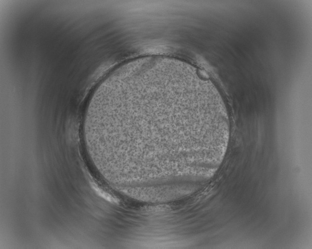 X0000062790106200601051056