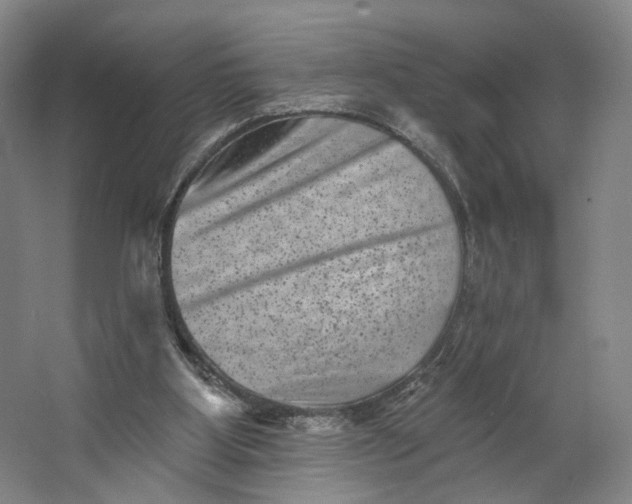 X0000062790107200601051056