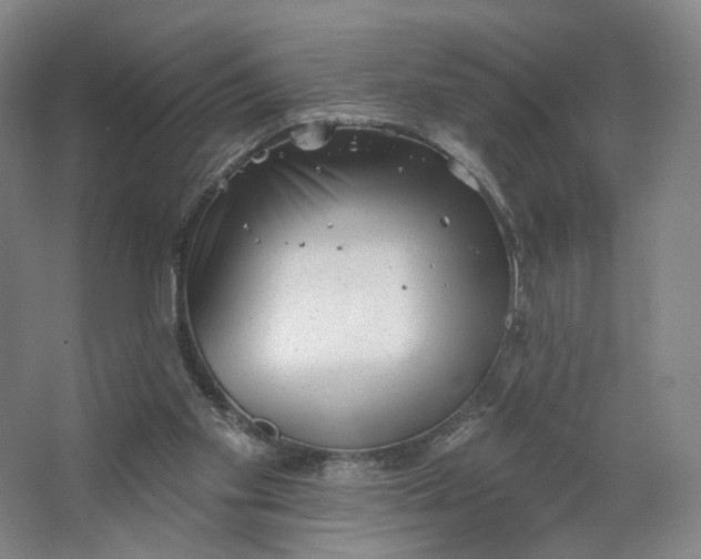 X0000062790109200601051056