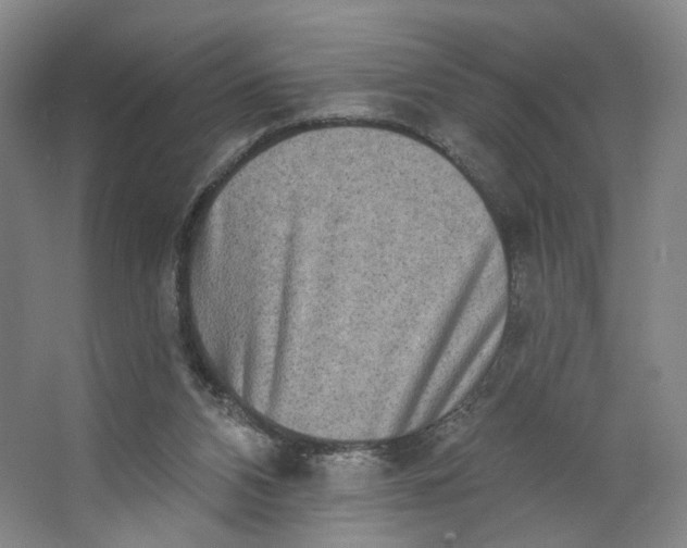 X0000062790112200601051056