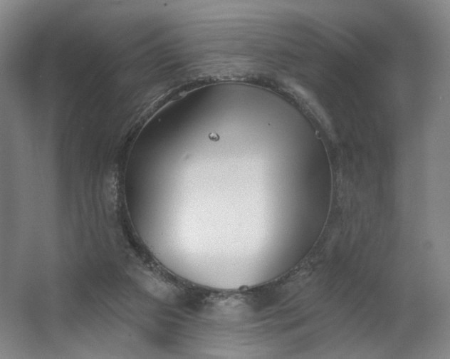 X0000062790113200601051056