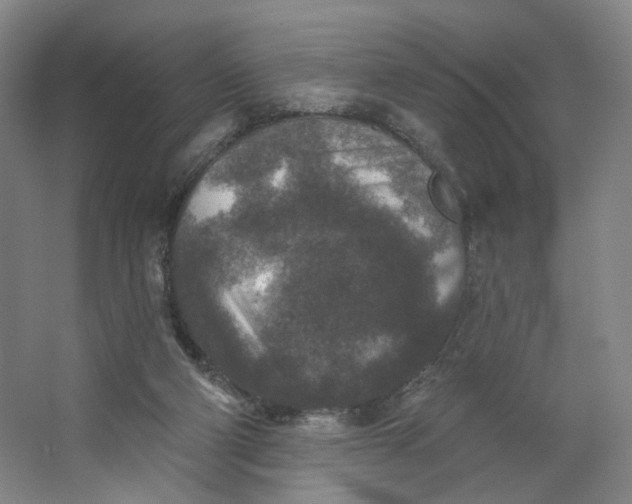 X0000062790114200601051056
