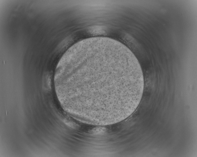 X0000062790124200601051056