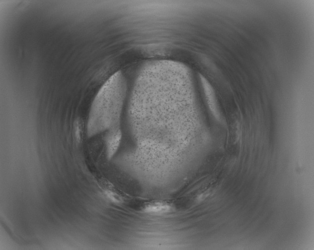 X0000062790125200601051056